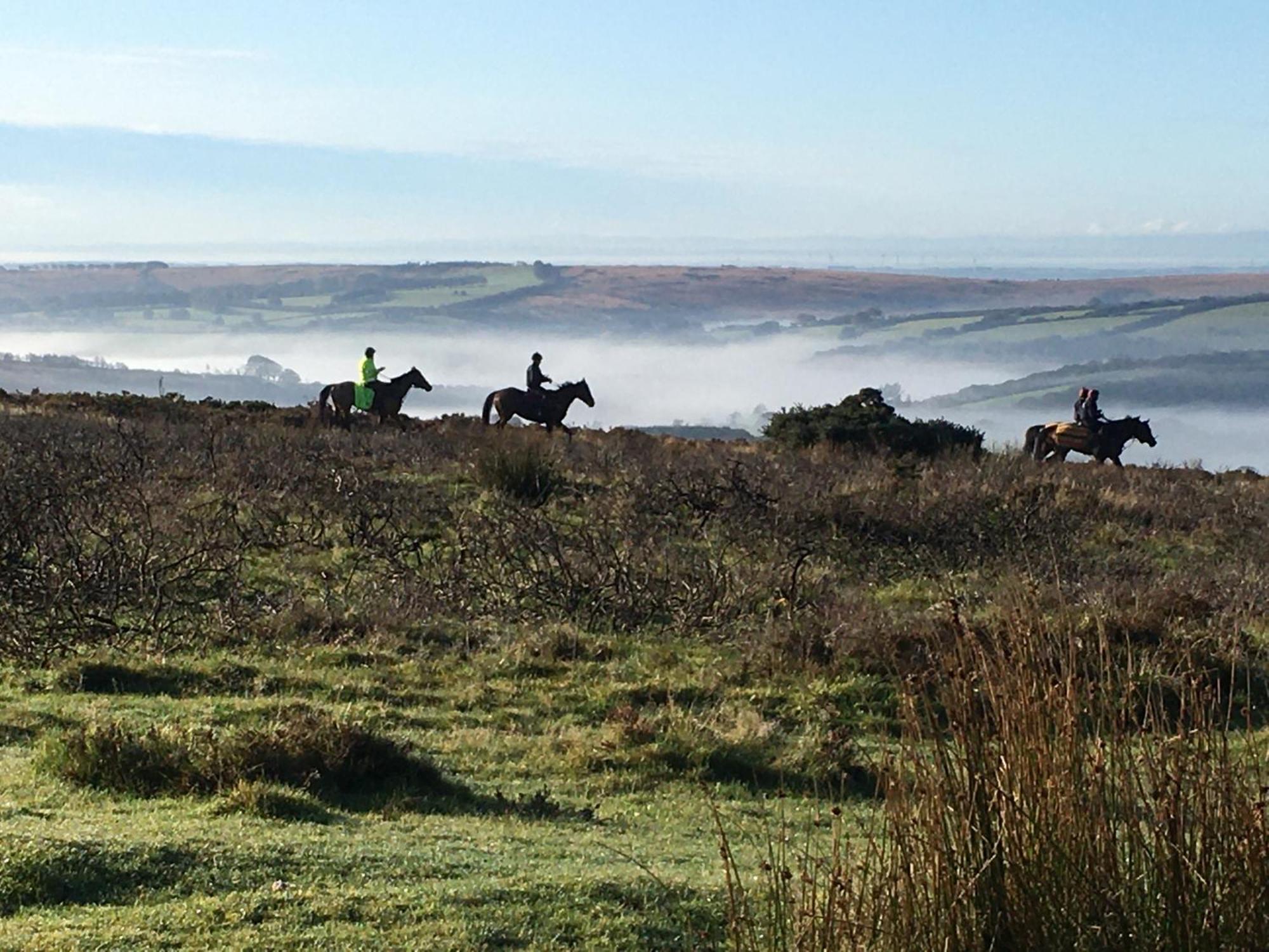 Exmoor Bnb In Withypool On Two Moors Way Zewnętrze zdjęcie