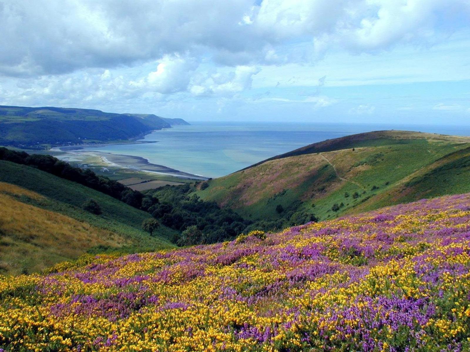 Exmoor Bnb In Withypool On Two Moors Way Zewnętrze zdjęcie