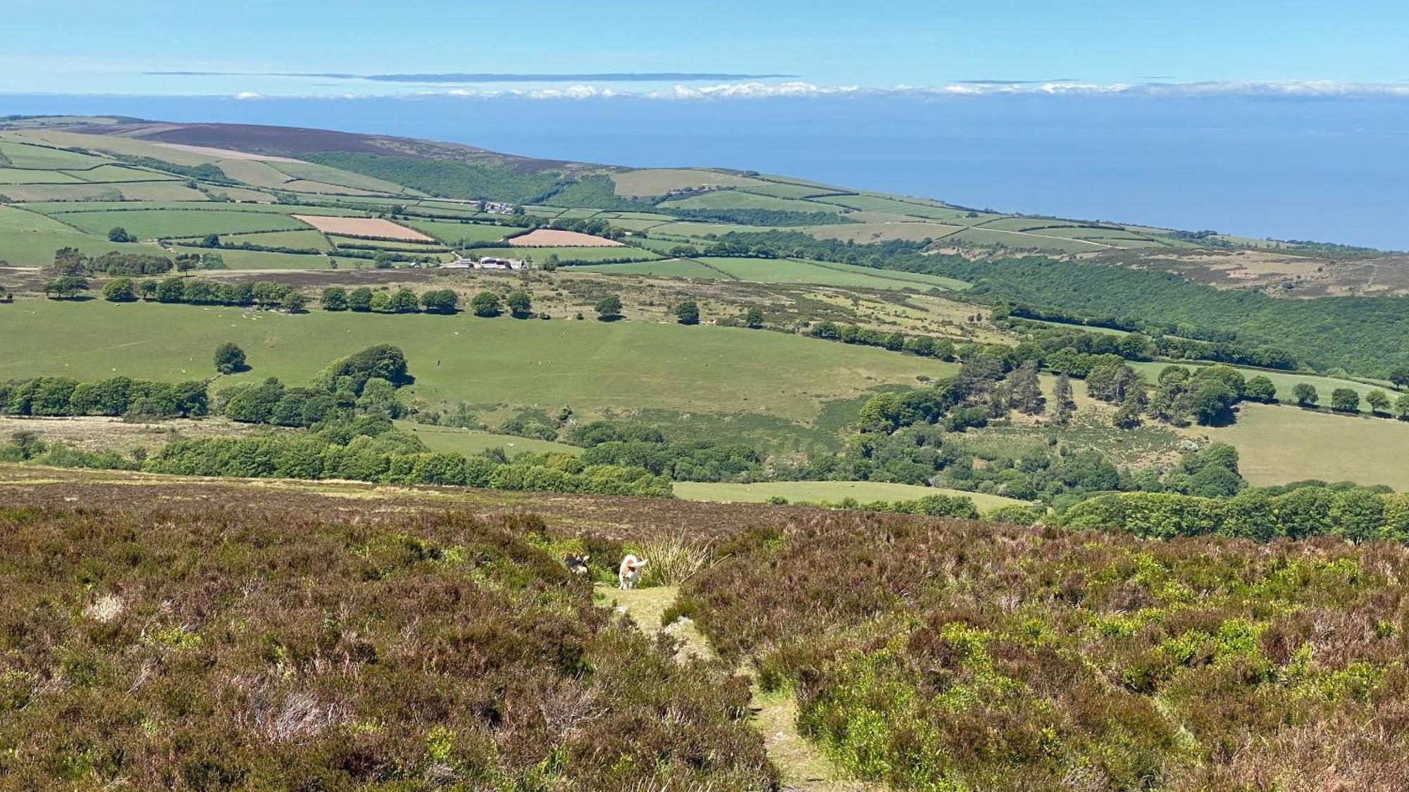 Exmoor Bnb In Withypool On Two Moors Way Zewnętrze zdjęcie